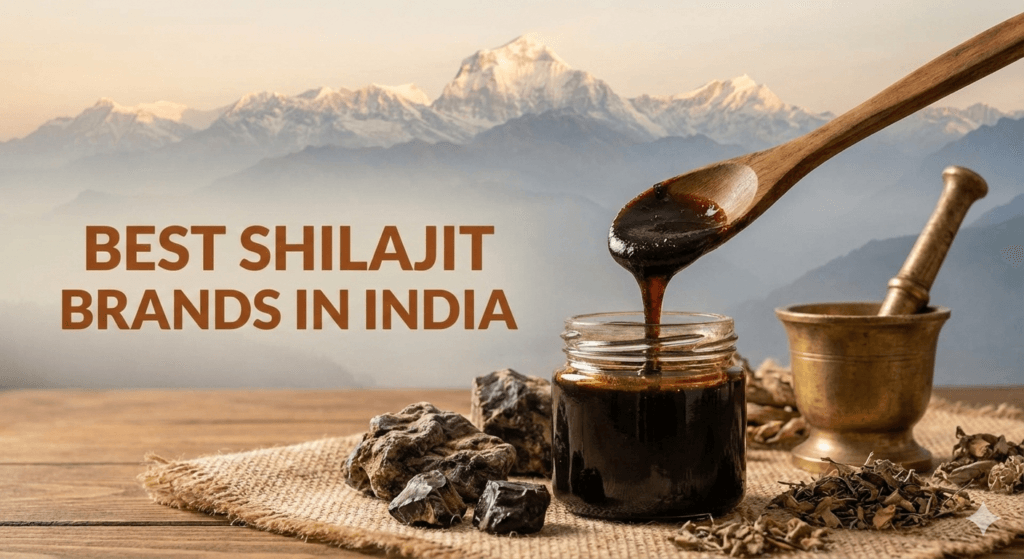 Best Shilajit Brands in India