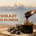 Best Shilajit Brands in India